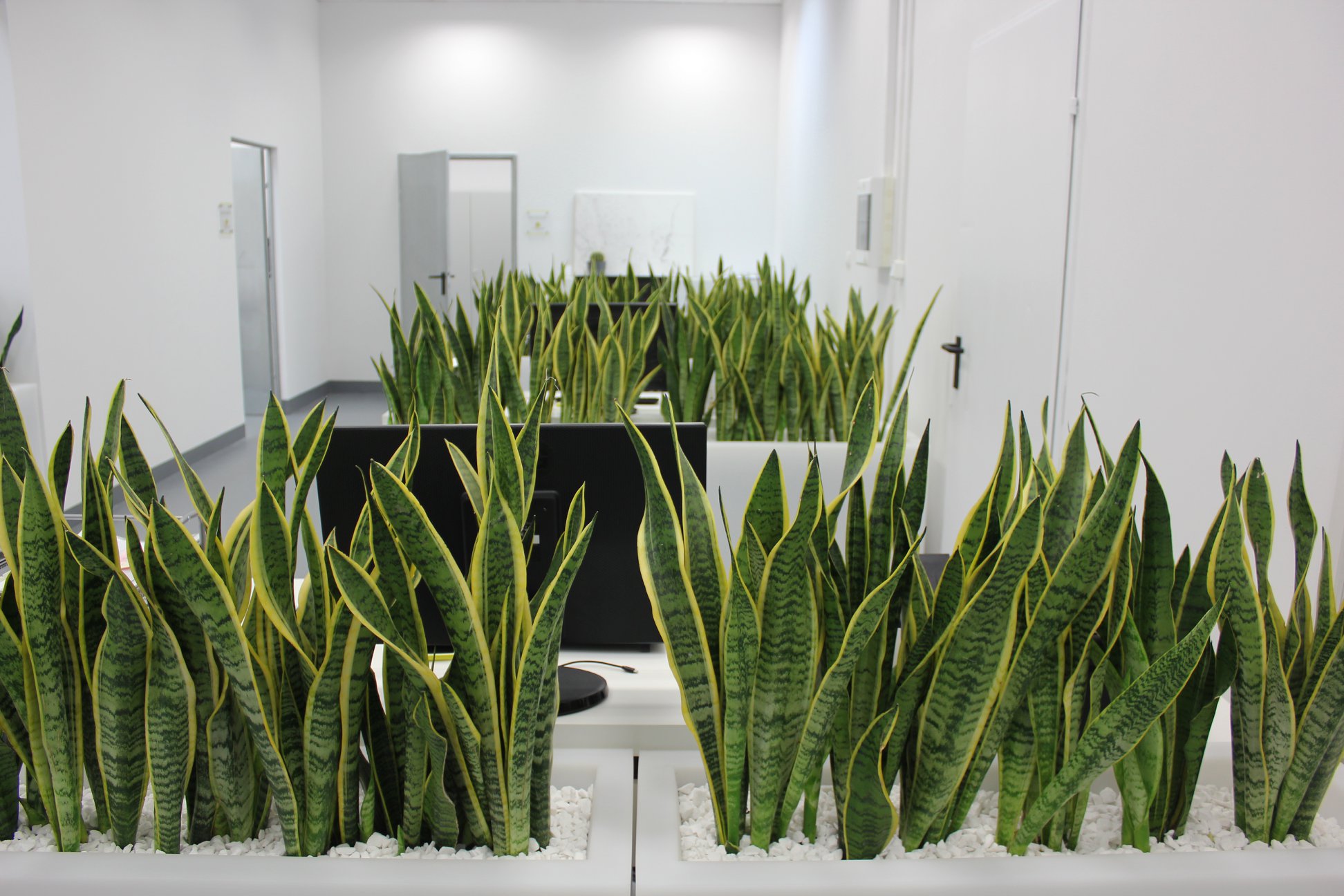 Osvetleni.com Květináč Monumo LONGERINO Barva: Antracit, Odvod vody: Ano