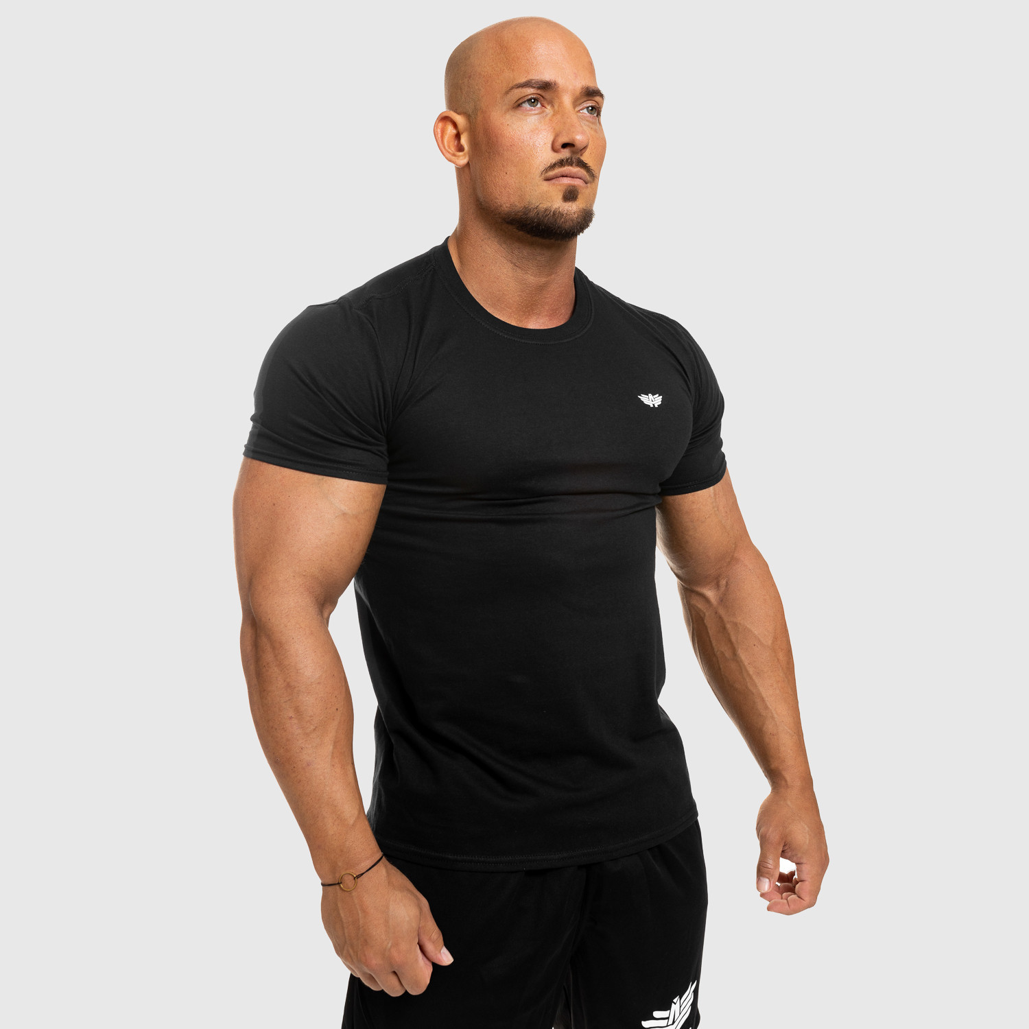 Pánské fitness tričko Iron Aesthetics Standard, černé