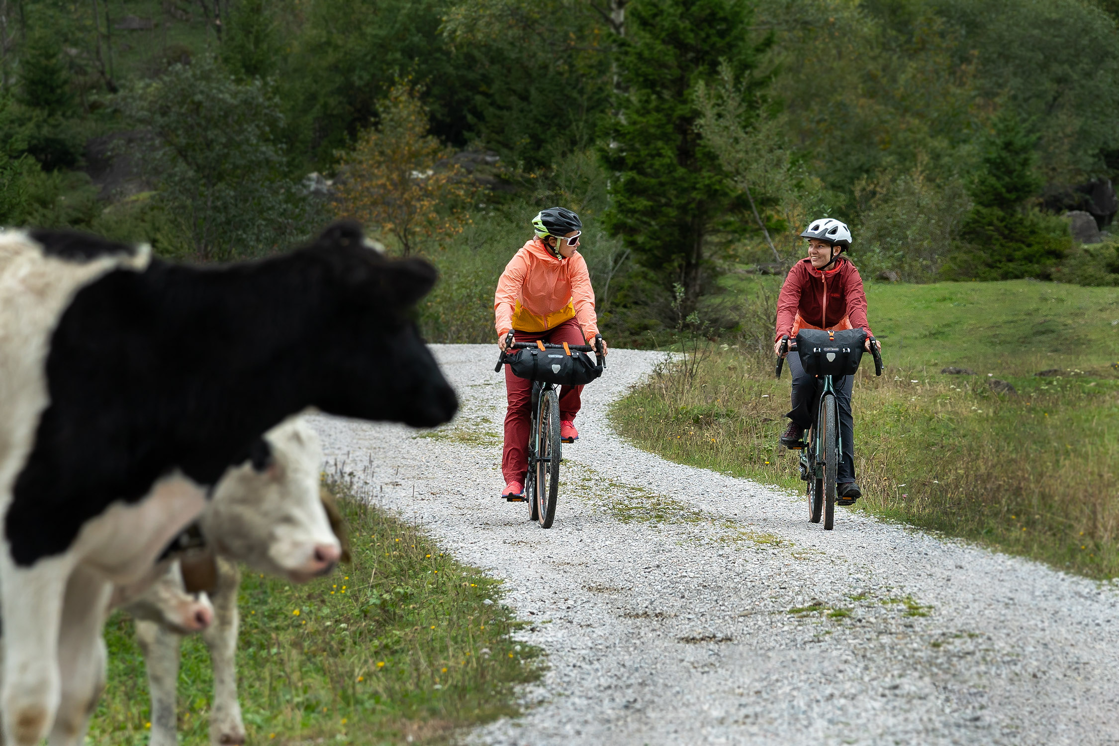 Bunda DIRECT ALPINE Women Brenta Barva: Palisander-Coral, Velikost: XS