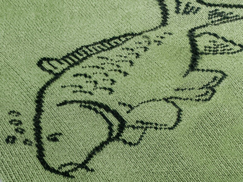 Delphin Ponožky Carp