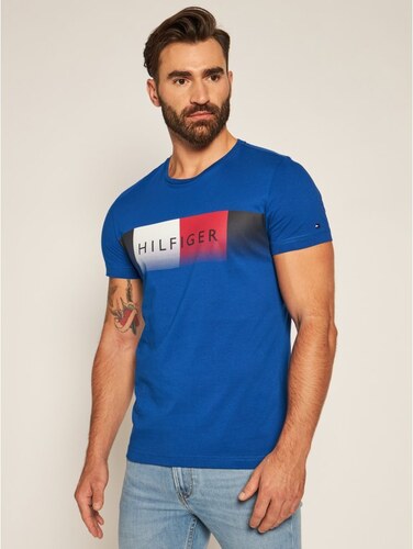 TOMMY HILFIGER Fade Tee MW0MW14311 T 