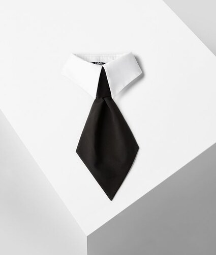 Dámská kravata - KARL LAGERFELD | Collar Tie - GLAMI.cz