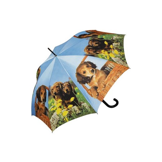 Staňte se úryvek Vnější skládací deštníky štěne Hrát si s Mírný Obojživelný