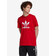 Trefoil Triko adidas Originals