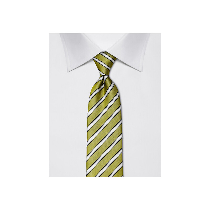 Zelená kravata Vincenzo Boretti 21996