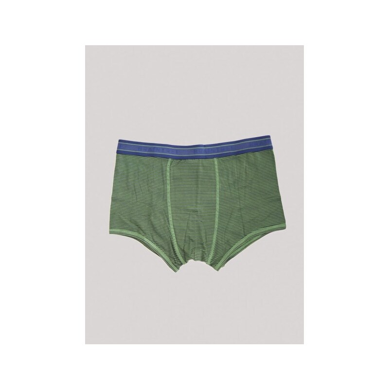 Thought (dříve Braintree) Bambusové boxerky zelené