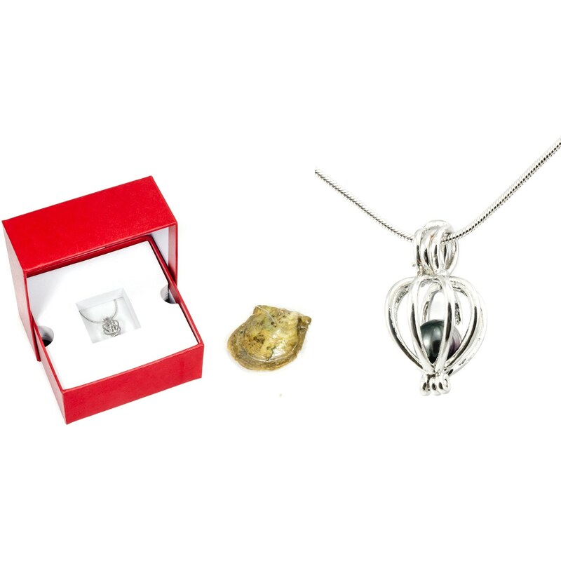 JewelsHall Perla přání - náhrdelník - klec - postříbřeno