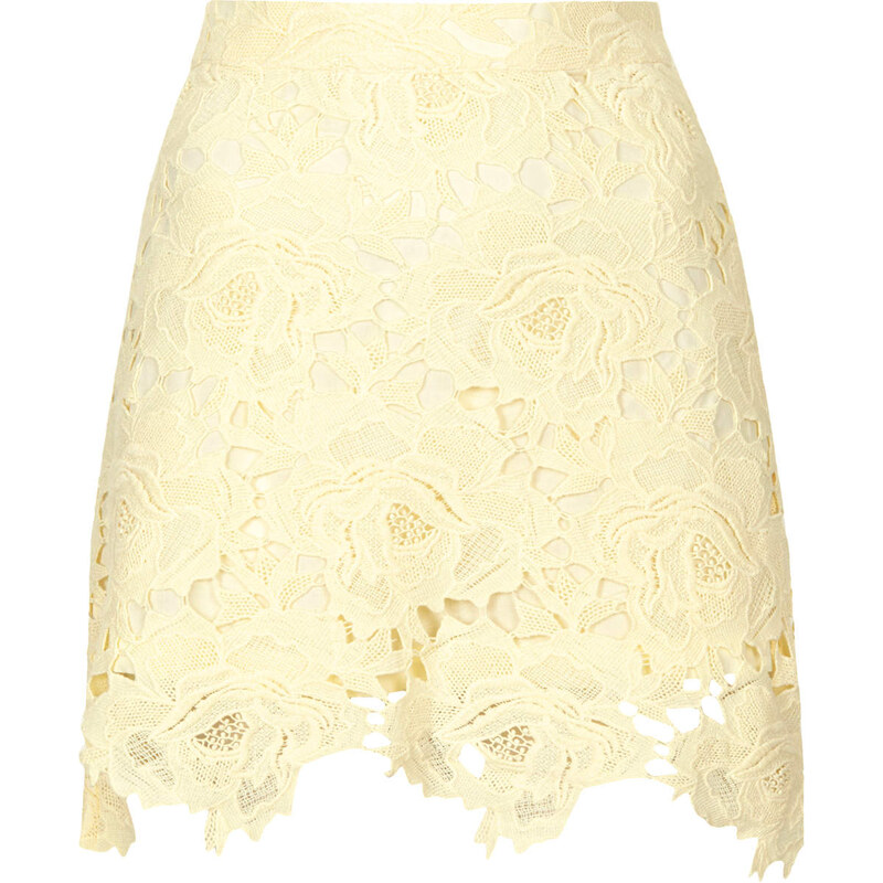 Topshop Cut Out Rose Lace Skirt