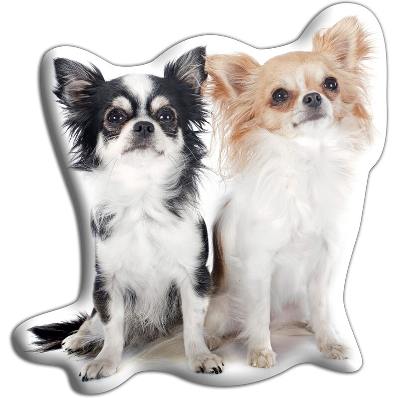 Polštářek s potiskem dvou Čivav Adorable Cushions