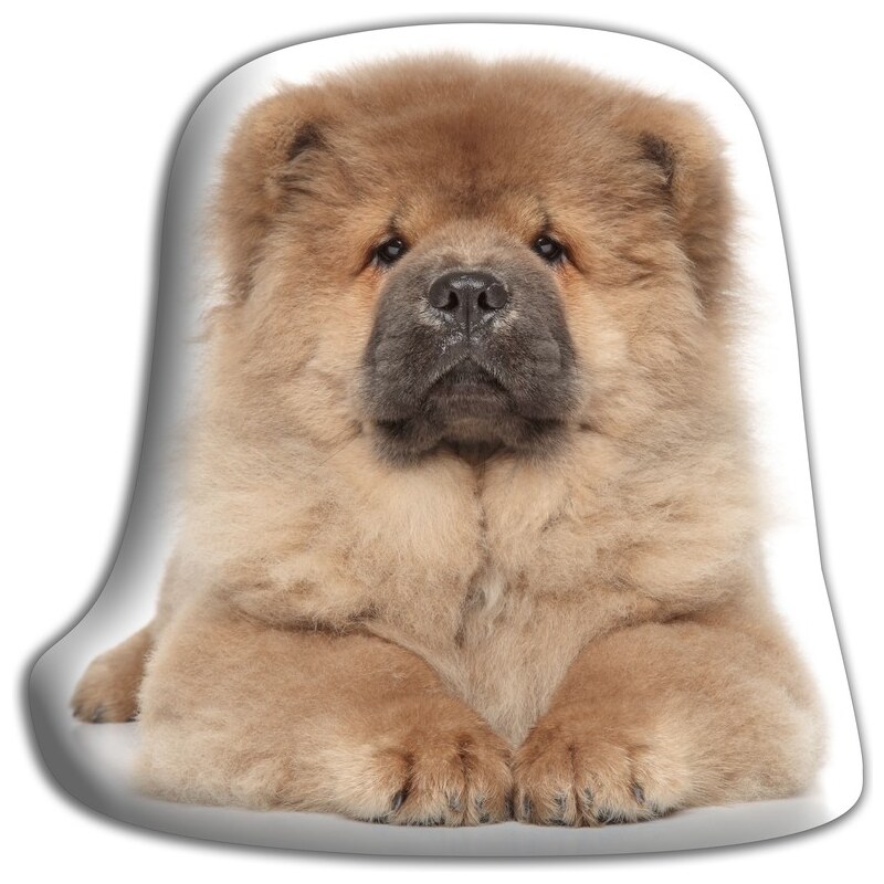 Polštářek s potiskem Čau-čau Adorable Cushions