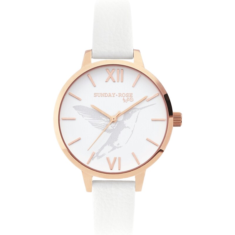 JVD Dámské luxusní designové hodinky SUNDAY ROSE Spirit FREEDOM 21223016