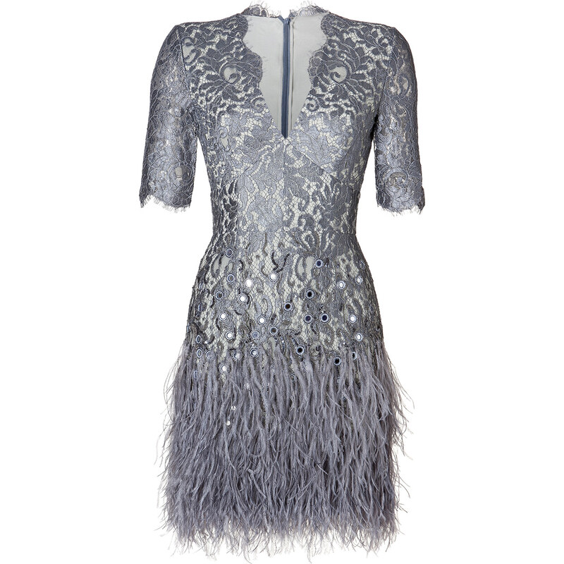 Matthew Williamson Embellished Lace Dress in Pewter