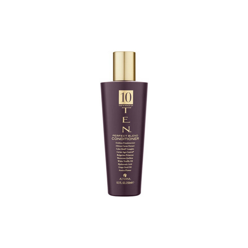 Alterna Ten Perfect Blend Conditioner 250ml