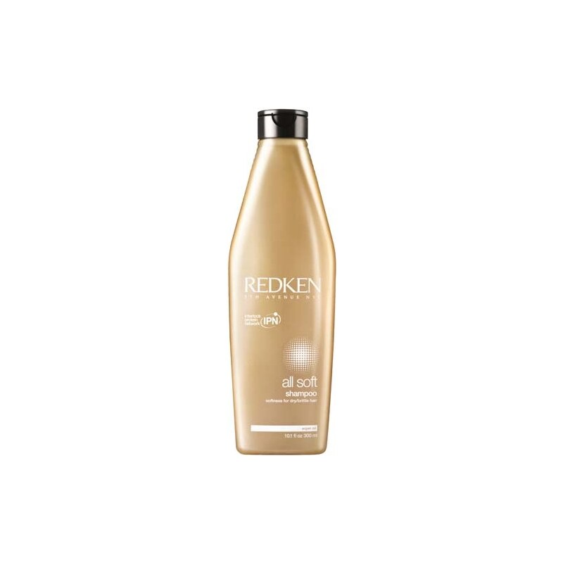 Redken Zjemňující šampon pro suché a křehké vlasy All Soft (Shampoo)