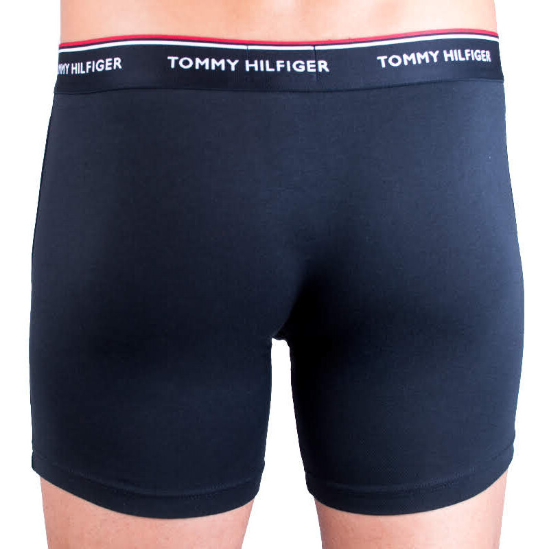 3PACK pánské boxerky Tommy Hilfiger vícebarevné (UM0UM00010 004)