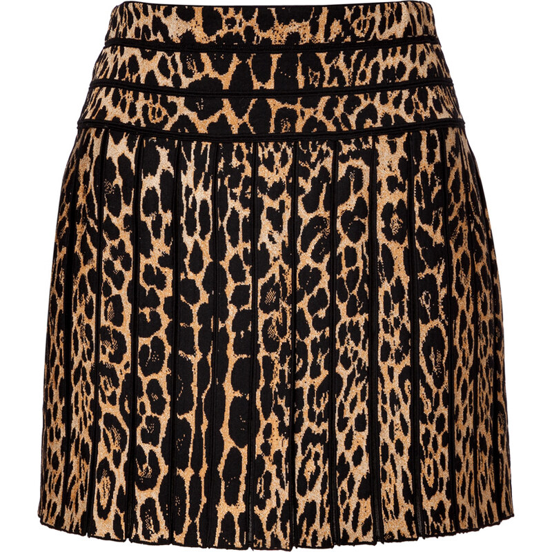 Roberto Cavalli Leopard Print Skirt
