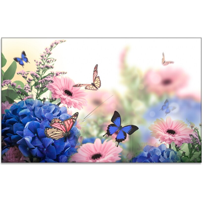 Malvis Obraz na plátně motýli
