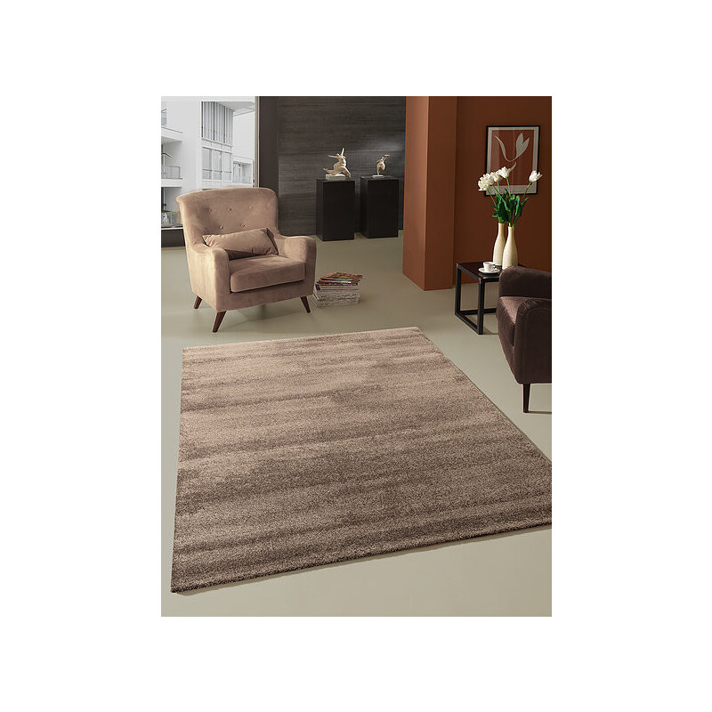 Berfin Dywany Kusový koberec Toscana 0100 Brown - 80x150 cm