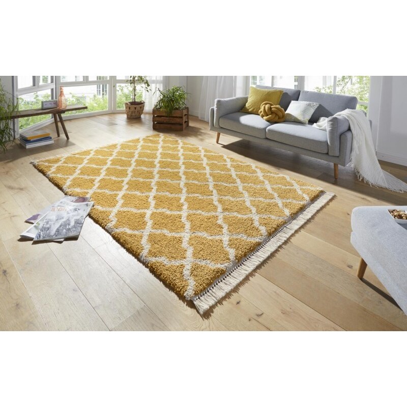 Mint Rugs - Hanse Home koberce AKCE: 80x200 cm Kusový koberec Desiré 103325 Gold Creme - 80x200 cm