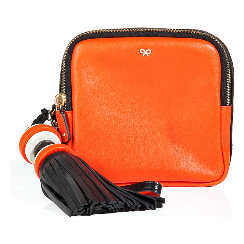 Anya Hindmarch Leather All Sorts Square Clutch in Orange