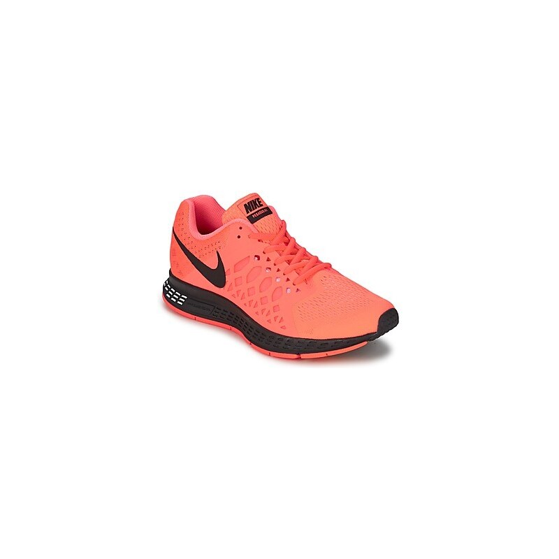 Nike Běžecké / Krosové boty PEGASUS Nike