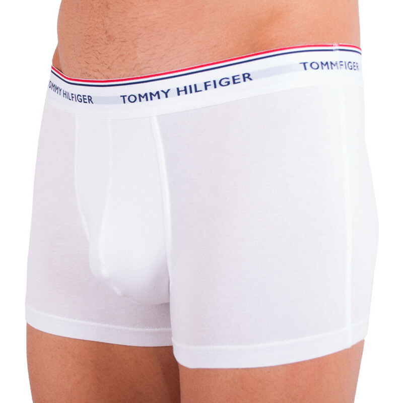 3PACK pánské boxerky Tommy Hilfiger vícebarevné nadrozměr (1U87905252 004) 3