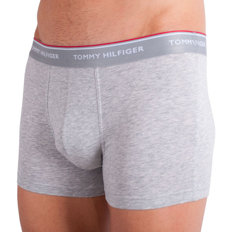 3PACK pánské boxerky Tommy Hilfiger vícebarevné nadrozměr (1U87905252 004) 3