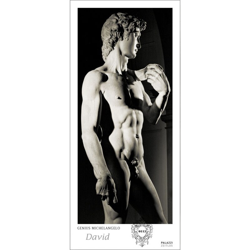 PALAZZI Verlag GmbH Nástěnný kalendář Genius Michelangelo: David - věčný kalendář - PANORAMA 2020 / Genius Mic 20PZZ25