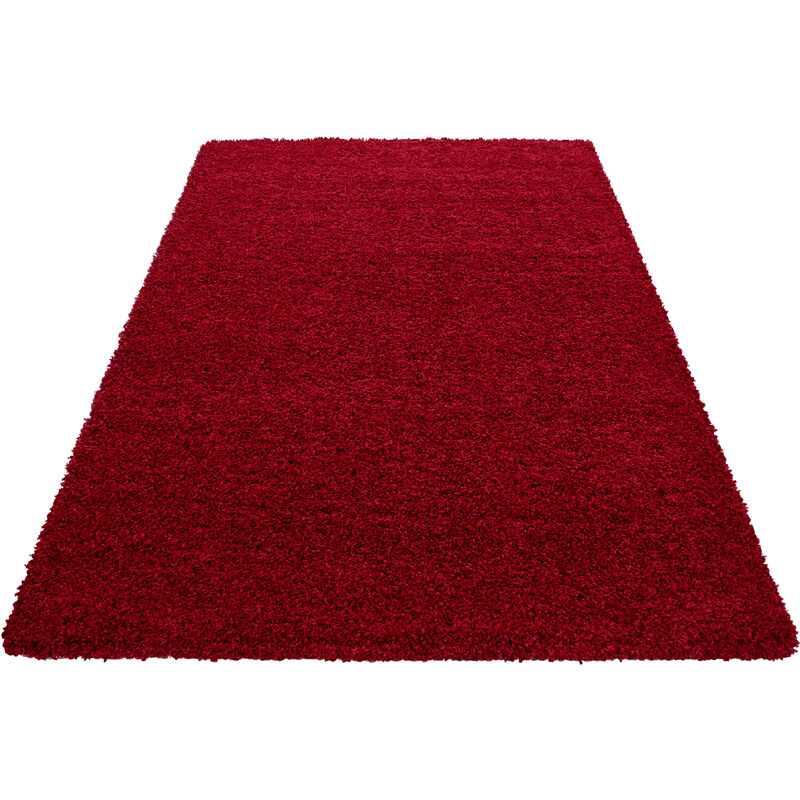 Ayyildiz koberce Kusový koberec Dream Shaggy 4000 Red - 80x150 cm