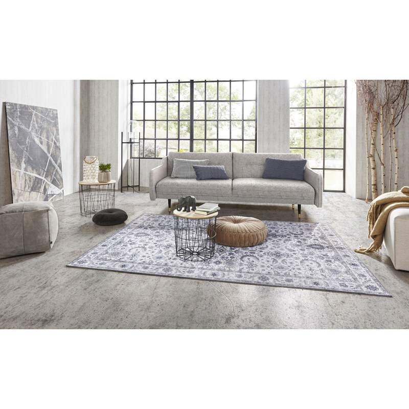 Nouristan - Hanse Home koberce Kusový koberec Asmar 104006 Platinum/Grey - 160x230 cm