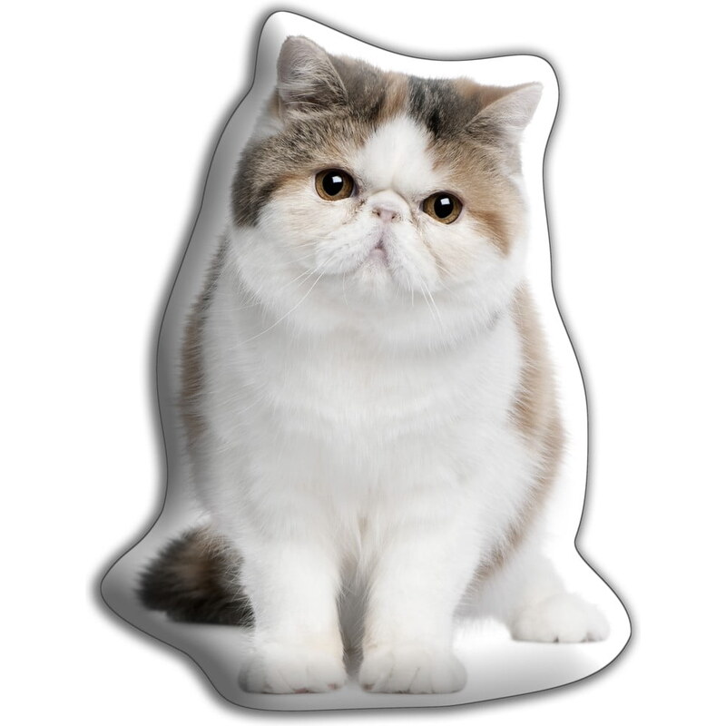 Polštářek s potiskem Exotické krátkosrsté kočky Adorable Cushions