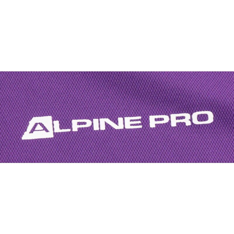 Pánské triko Alpine Pro Ohvice