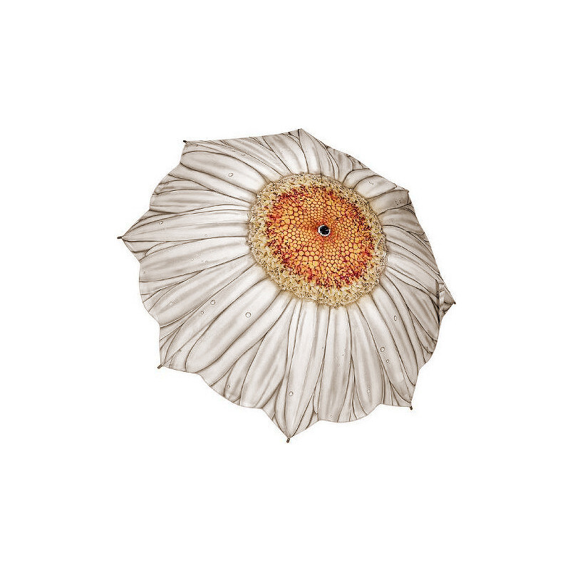 Blooming Brollies Dámský skládací plně automatický deštník Galleria White Daisy Floral GFFWD