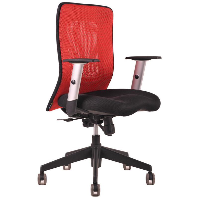 Ergonomická kancelářská židle OfficePro Calypso