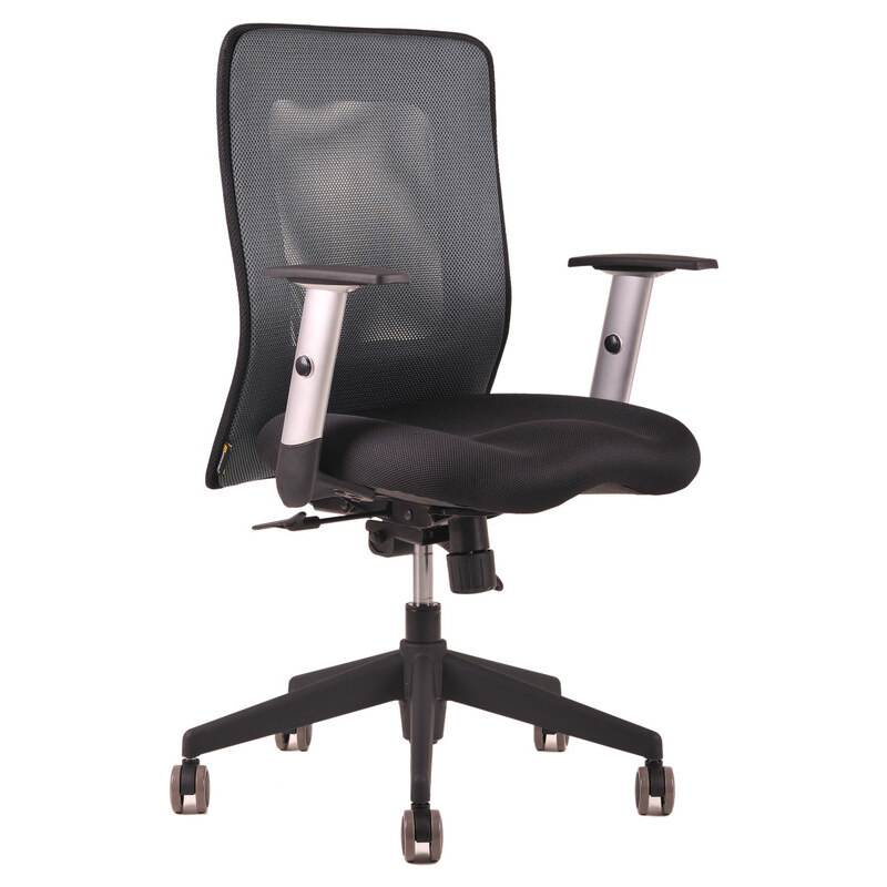 Ergonomická kancelářská židle OfficePro Calypso