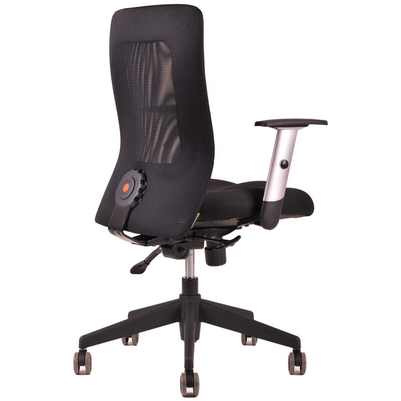 Ergonomická kancelářská židle OfficePro Calypso