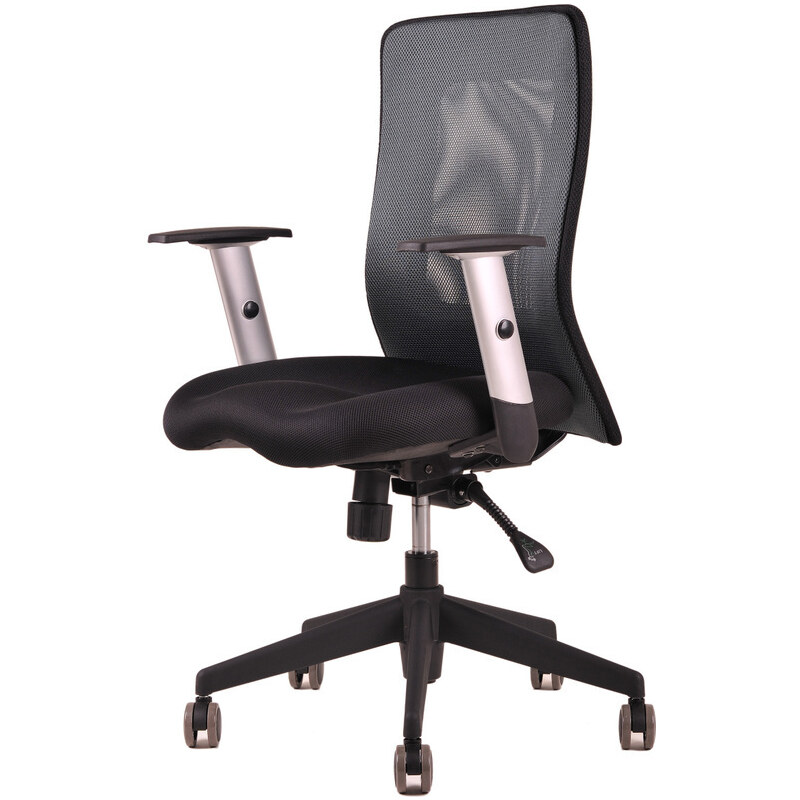 Ergonomická kancelářská židle OfficePro Calypso