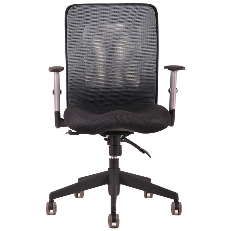 Ergonomická kancelářská židle OfficePro Calypso