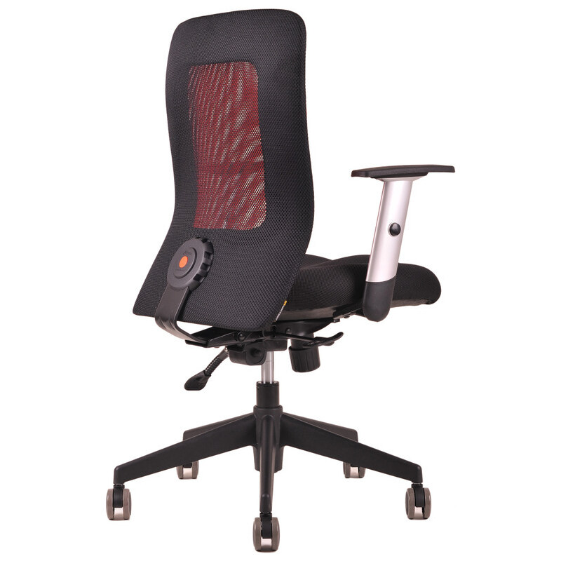 Ergonomická kancelářská židle OfficePro Calypso