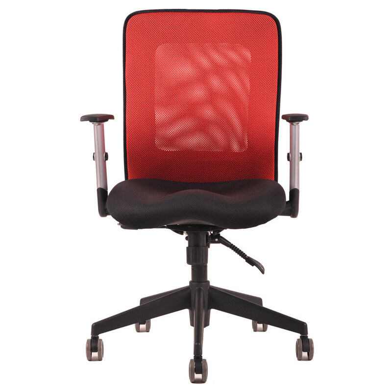 Ergonomická kancelářská židle OfficePro Calypso