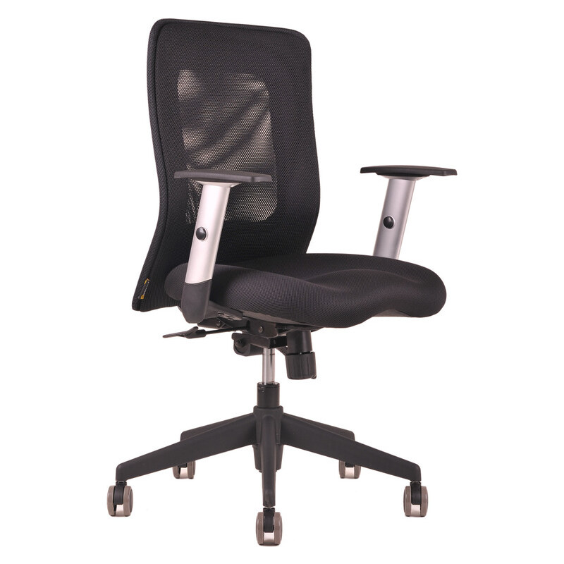 Ergonomická kancelářská židle OfficePro Calypso