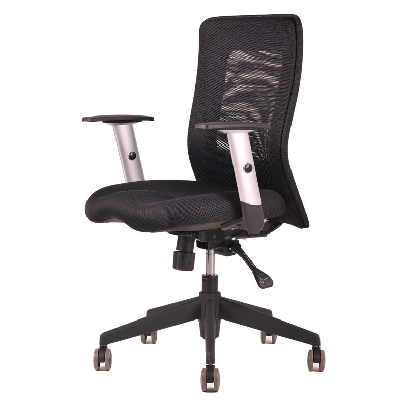 Ergonomická kancelářská židle OfficePro Calypso