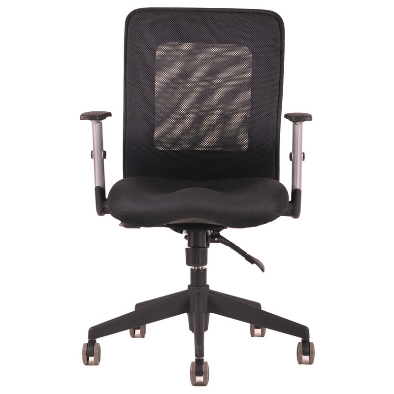 Ergonomická kancelářská židle OfficePro Calypso