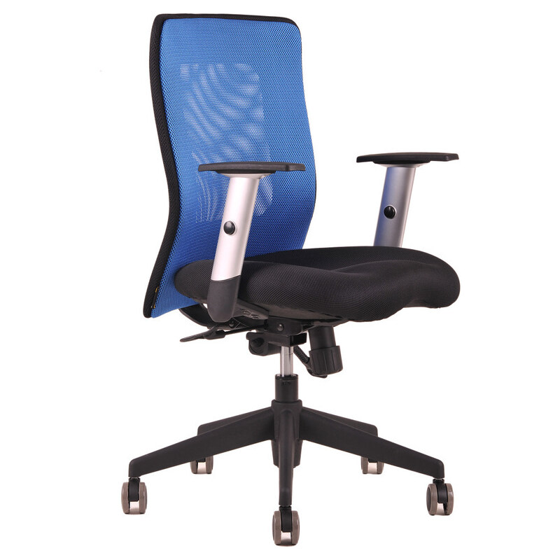 Ergonomická kancelářská židle OfficePro Calypso