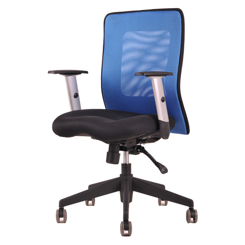 Ergonomická kancelářská židle OfficePro Calypso