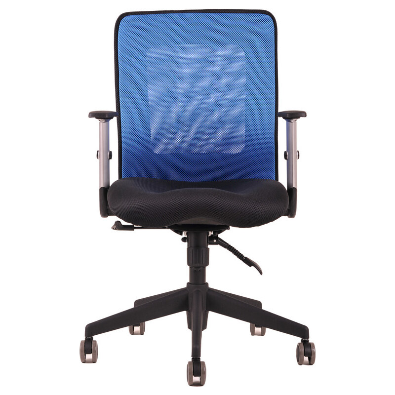 Ergonomická kancelářská židle OfficePro Calypso