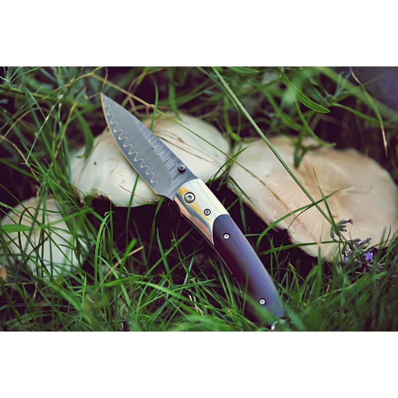 nůž zavírací Dellinger MUSHROOM KILLER vg10 Damascus