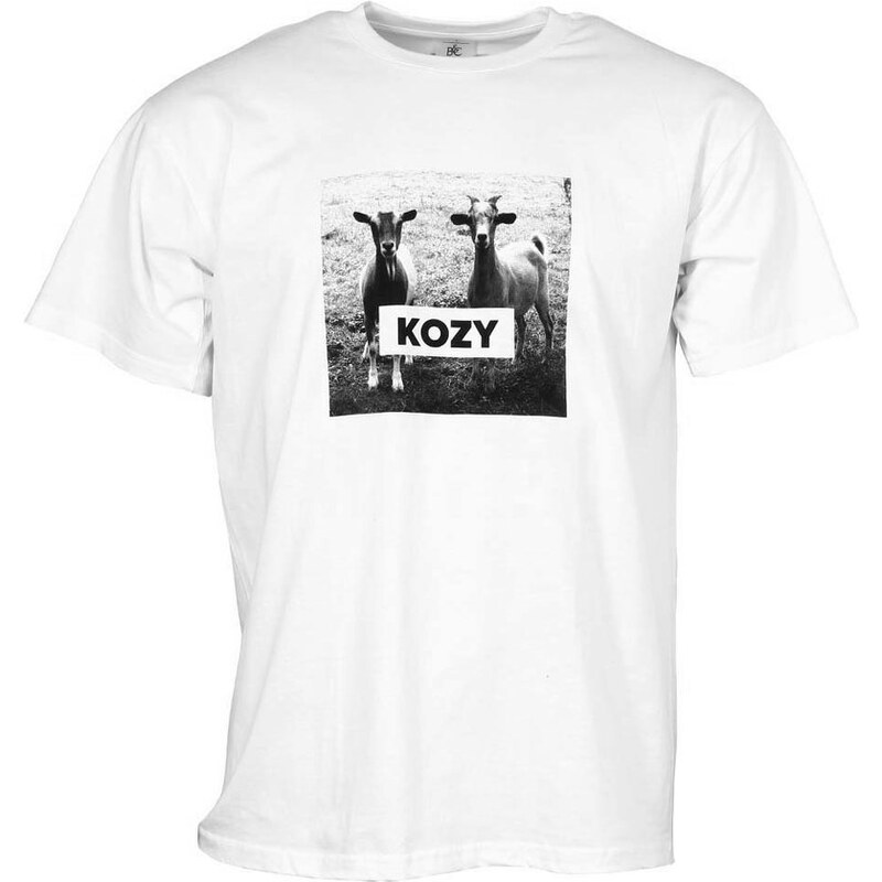 Pánské tričko ZOOT Originál KOZY