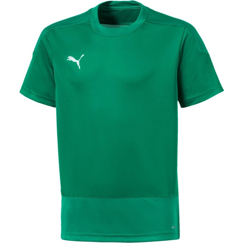 Dres Puma teamGOAL 23 Training Jersey Jr 65656905