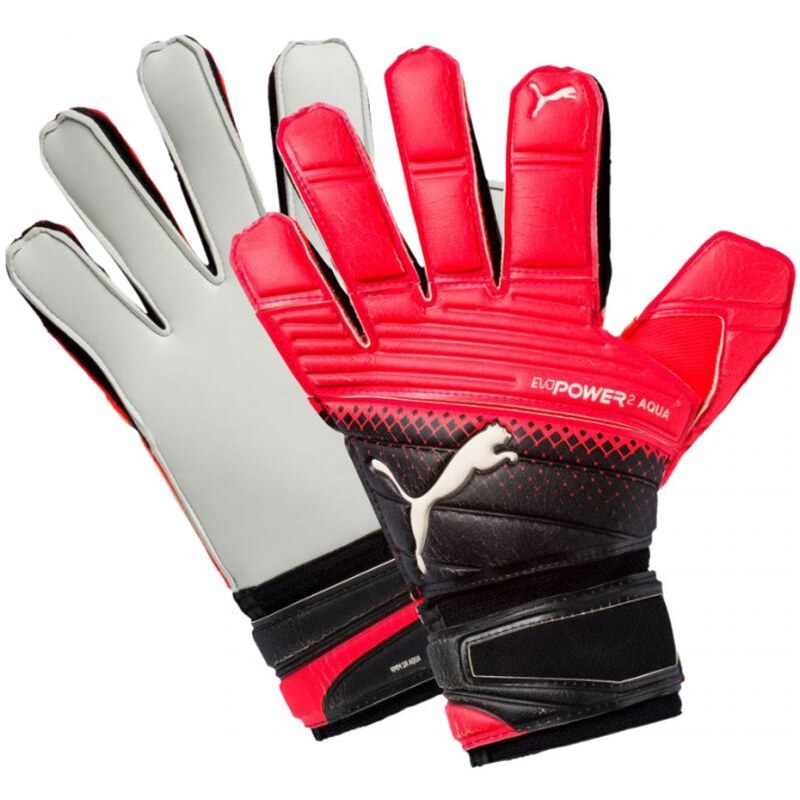 B2B Professional Sports Pánské brankářské rukavice Evo Power Grip 2.3 Aqua 041225 - Puma